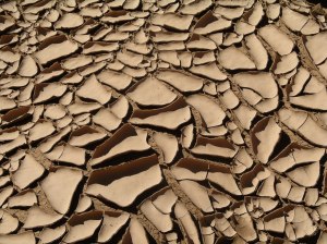 Mud Cracks