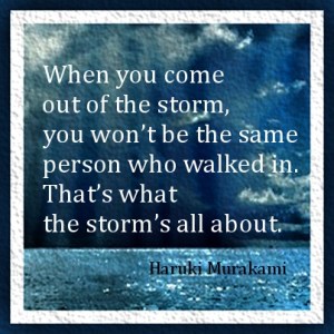 storm2