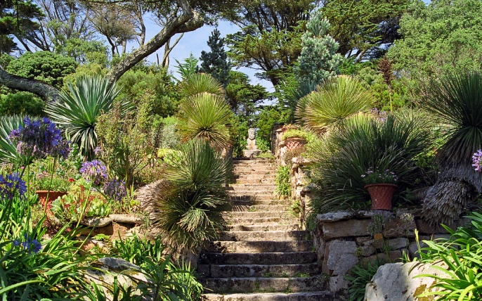 Tresco Abbey Gardens, Scilly Isles, UK Looking at the plants in this garden it is difficult to believe that Tresco Abbey Gardens is situated in the British Isles. Containing sub-tropical plants from Australia, South Africa and South America  including Echiums, Agaves, Aloes, Proteas, Aeoniums, Strelitzias and palm trees, this garden looks as though it should be situated in the Mediterranean! However, it is located in England, on the small island of Tresco in the Scilly Isles (approximately 28 miles from the south west tip of Cornwall in the United Kingdom). The photographs in this set where taken in late August when a lot of the color had already left the gardens. However, the varied planting provides a superb example of the value of a clear garden structure filled with diverse and contrasting foliage  creating a wonderful green tapestry of architectural plants throughout the year. Details: With a stunning background of white sandy beaches and vivid turquoise sea, Tresco Abbey Gardens is an outstanding historic garden set amid the romantic ruins of a 16th century priory. The gardens were started by Augustus Smith, who moved to the island in 1834. The garden has subsequently been developed by four succeeding generations of the family from Augustus Smith. The gardens have many delightful features, often seen at their best in the warmth of the afternoon sun, ranging from the Abbey arch, the Neptune steps, the shell house and a number of tastefully placed sculptures (including one to the earth goddess Gaia), all bordered by fantastic foliage of varying shapes, textures, sizes and hues. Surrounded by sea and in the warmth of the Gulf Stream the climate is exceptionally mild and totally frost free in most years. With south facing terraces, these gardens have often been referred to as Kew gardens without the roof, because in mainland UK, you would only find these plants in a botanical garden glass house. Location: Tresco Abbey Gardens, Tr