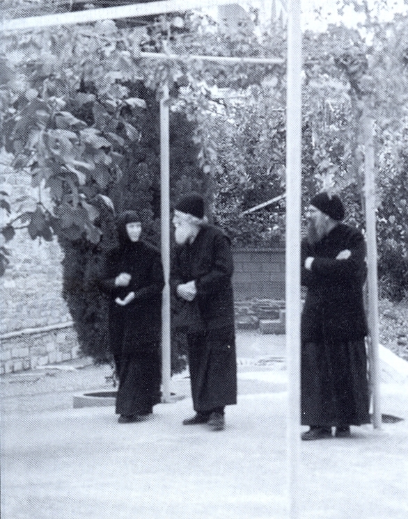 o-gerontas-paisios-me-ton-geronta-grigorio-kai-tin-gerontissa-efimia-tis-metamorfosis