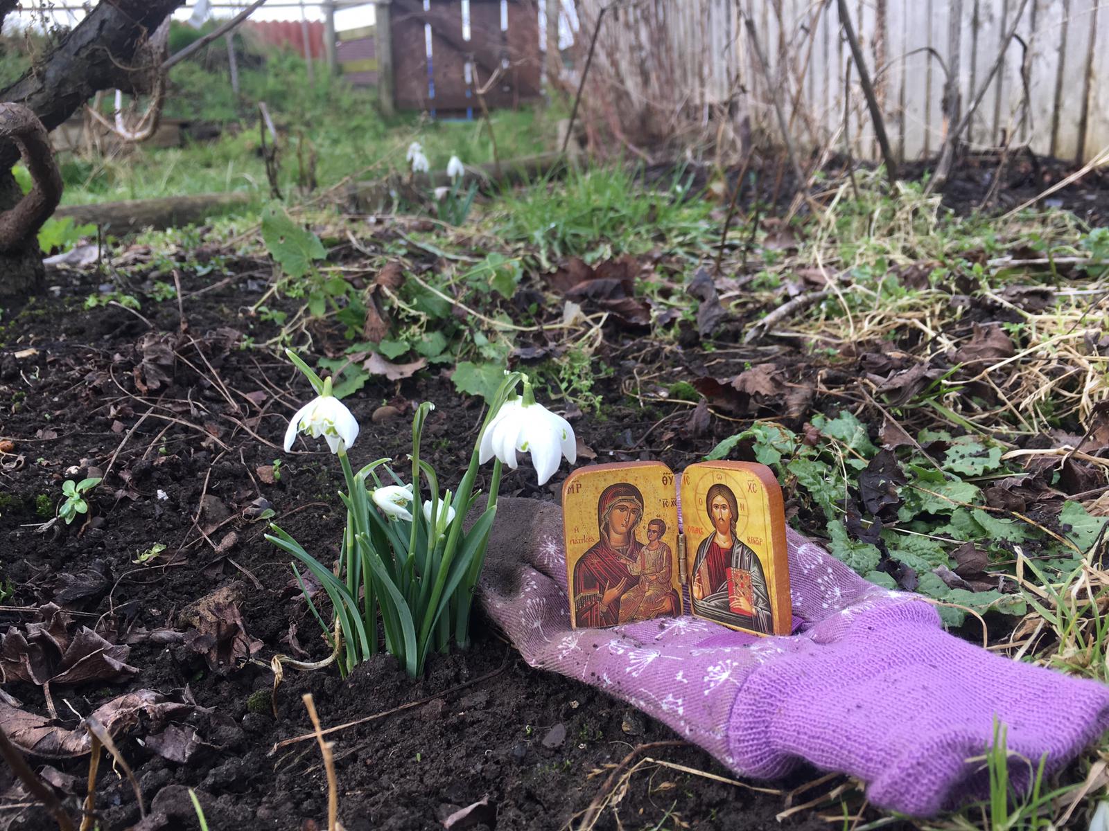 PHOTO-2019-03-04-21-59-19_2