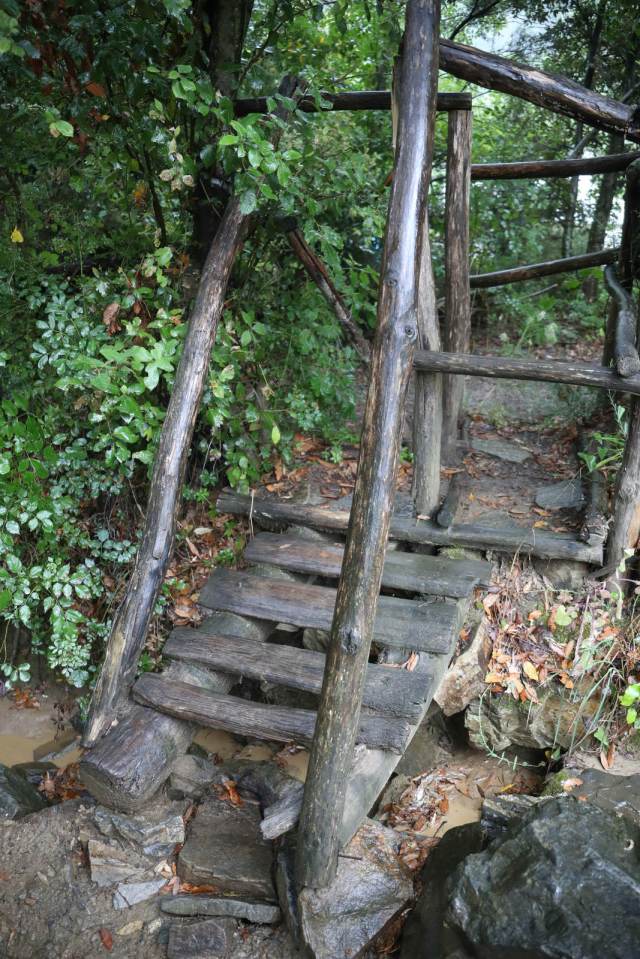 path to saint paisios cell