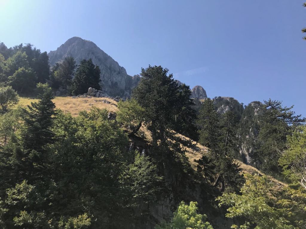 konitsa16