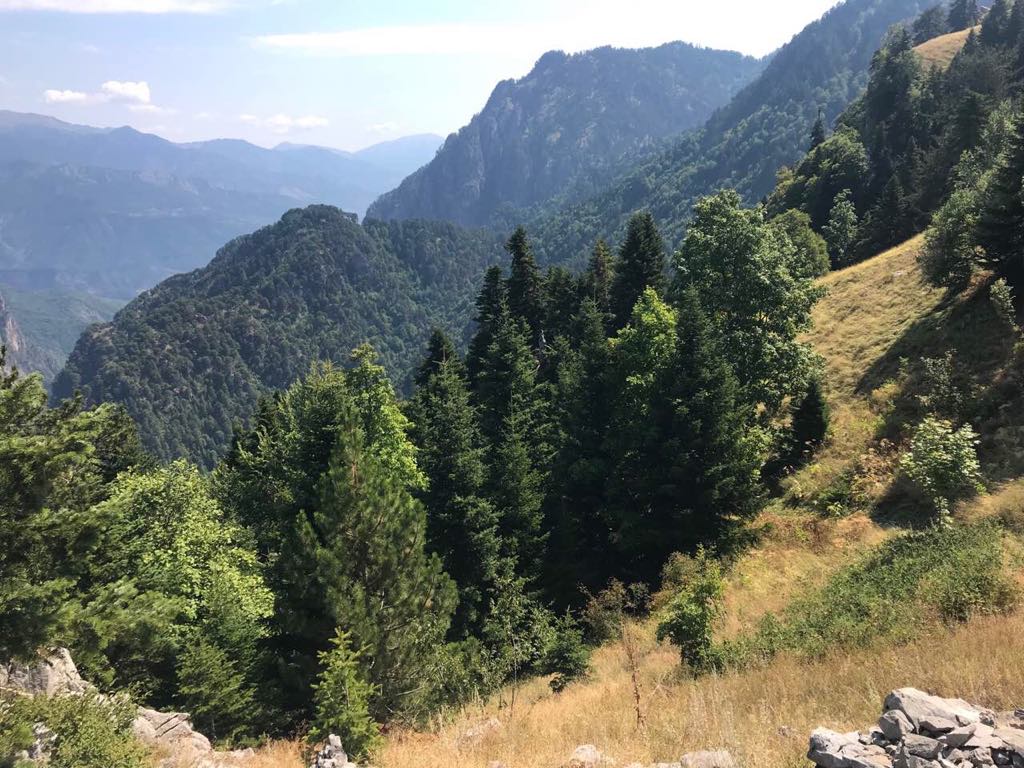 konitsa17