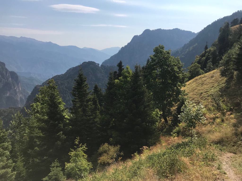 konitsa3
